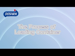 Quá trình vận chuyển tiêu chuẩn nghiêm ngặt